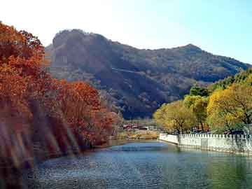 澳门二四六天天彩图库，情感天地